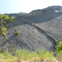 Malaussene