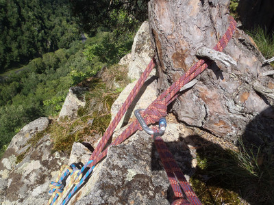 relais sur l'arbre relais sur l'arbre