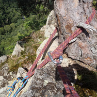 relais sur l'arbre