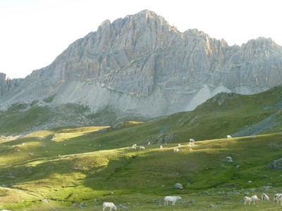La Meja La Meja