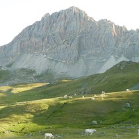 La Meja