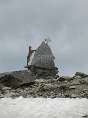 visiteurs ou habitants locaux ? visiteurs ou habitants locaux ?