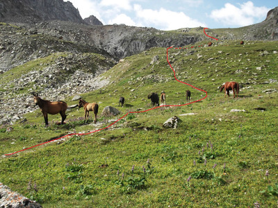 Dans la vallée des chevaux et des Yacks