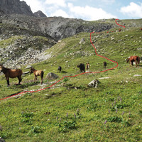 Dans la vallée des chevaux et des Yacks