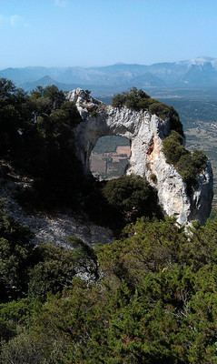 l'arche