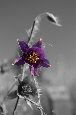 Un petit coin de couleur Un petit coin de couleur