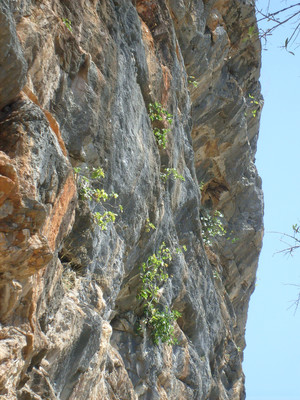 Du calcaire, des dalles et des dévers
