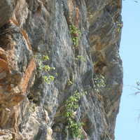 Du calcaire, des dalles et des dévers