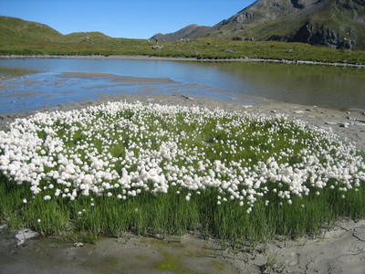 J15 - Lac de la Bayenna J15 - Lac de la Bayenna