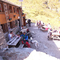 Refuge ouvert