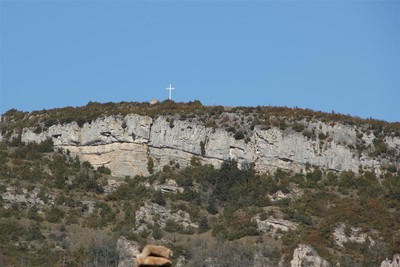 Roche Coche