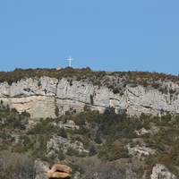 Roche Coche