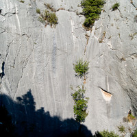 la Gauche du petit cirque