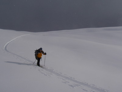 Etoiles ou flocons? Jour ou nuit? Etoiles ou flocons? Jour ou nuit?