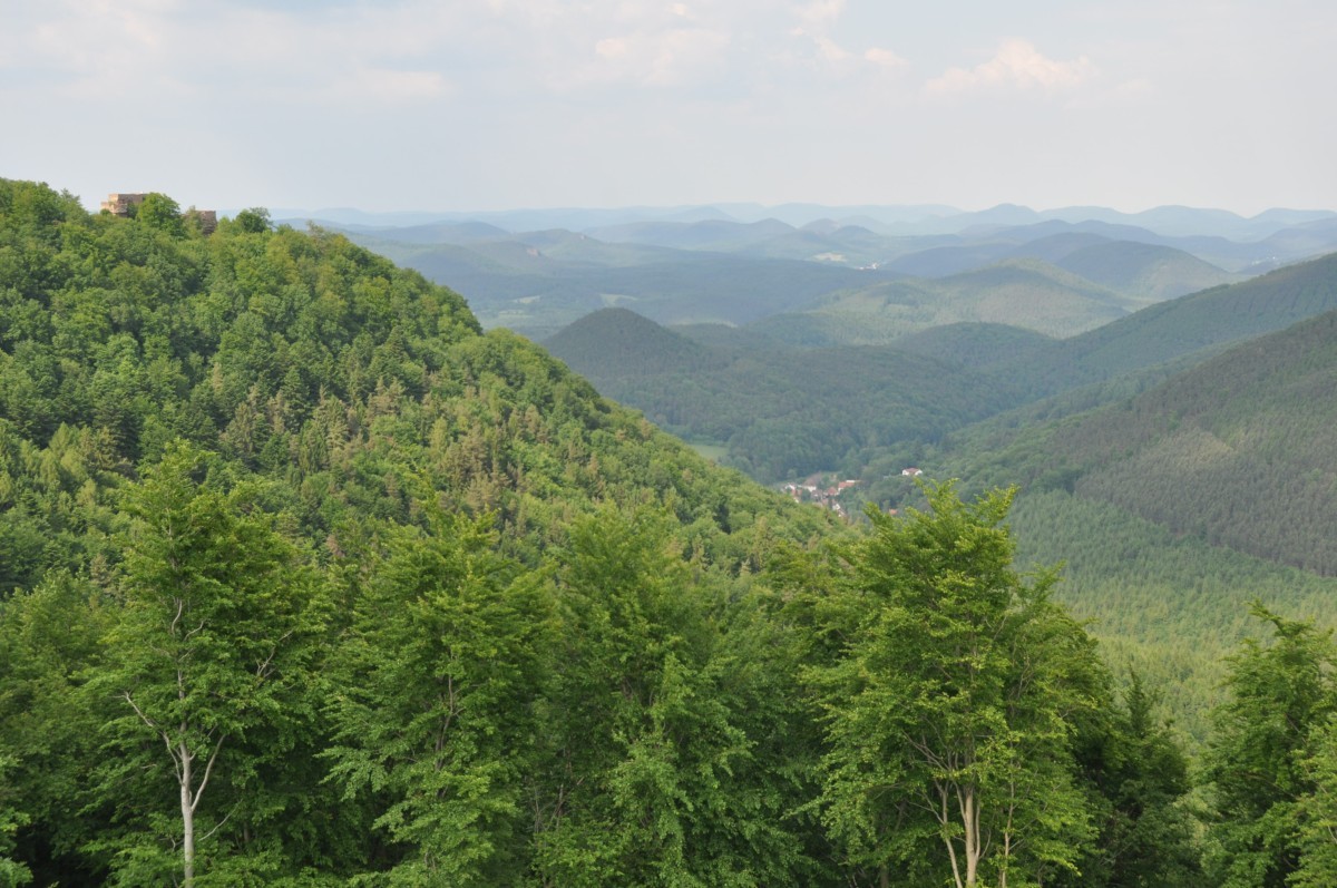 Vue sur l'Allemagne depuis le Hohenbourg