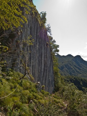 bellavista