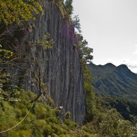 bellavista