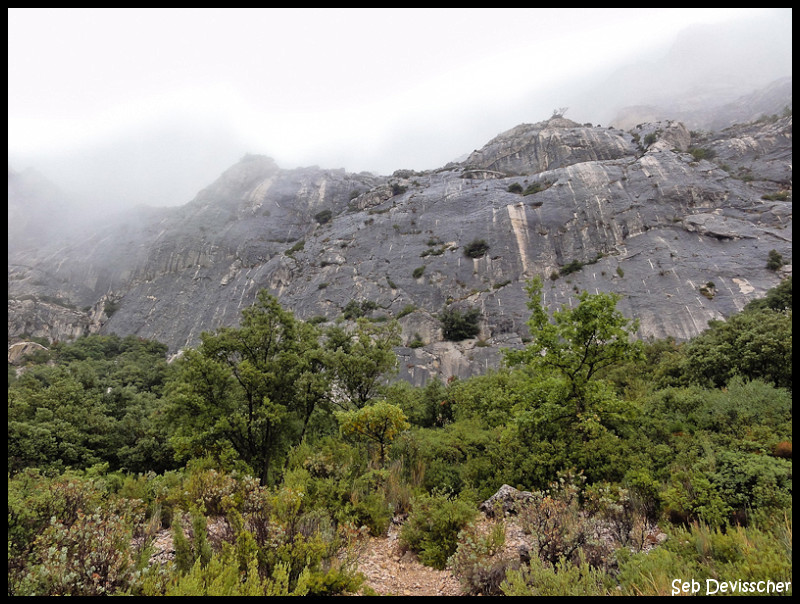 Les deux aiguilles sous la pluie