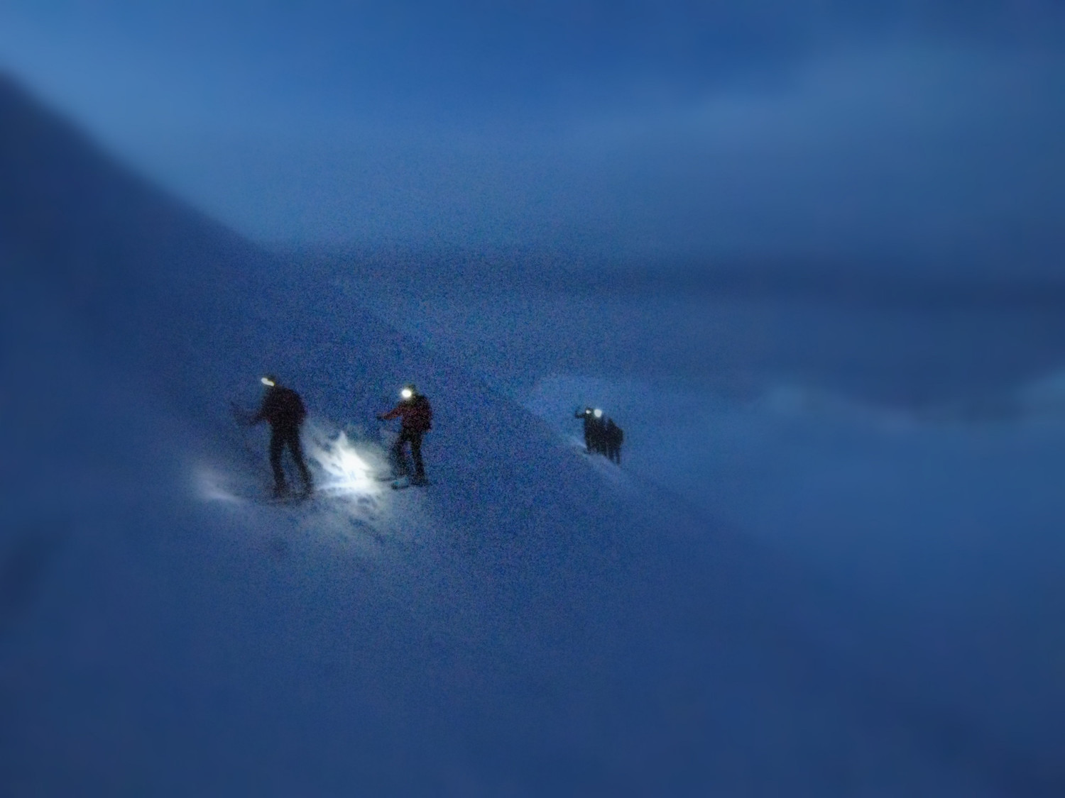 Fin de nuit vers l'arête de l'Aletschhorn