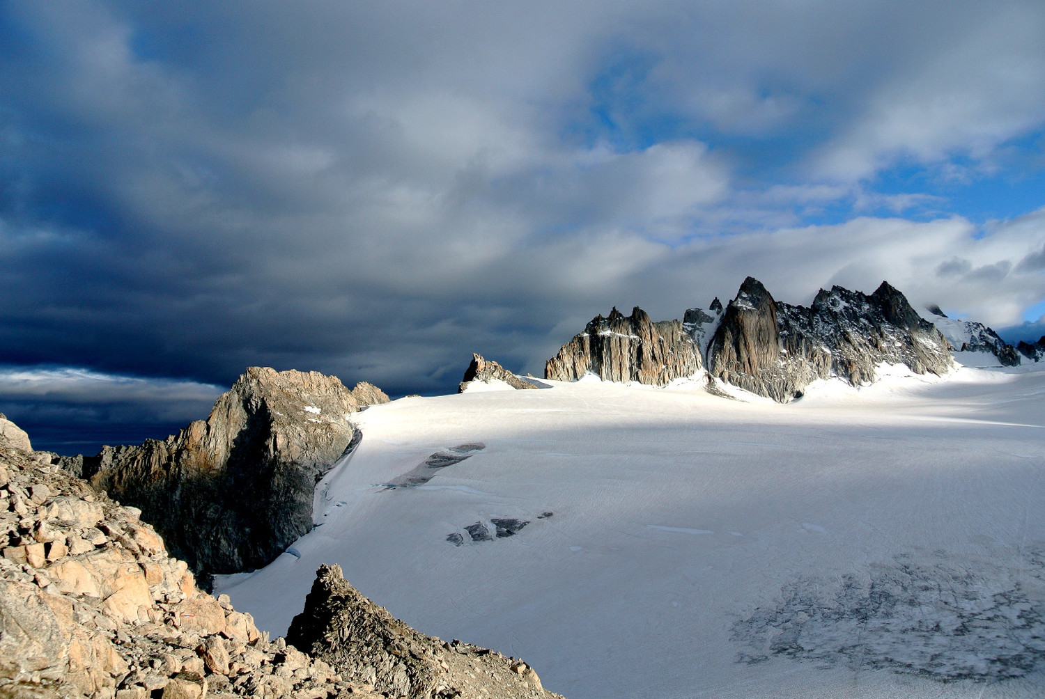 Aiguilles dorées