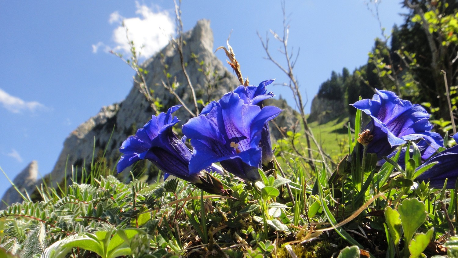 Jour de fête à la Corne Aubert (chaine des Gastlosen CH)
