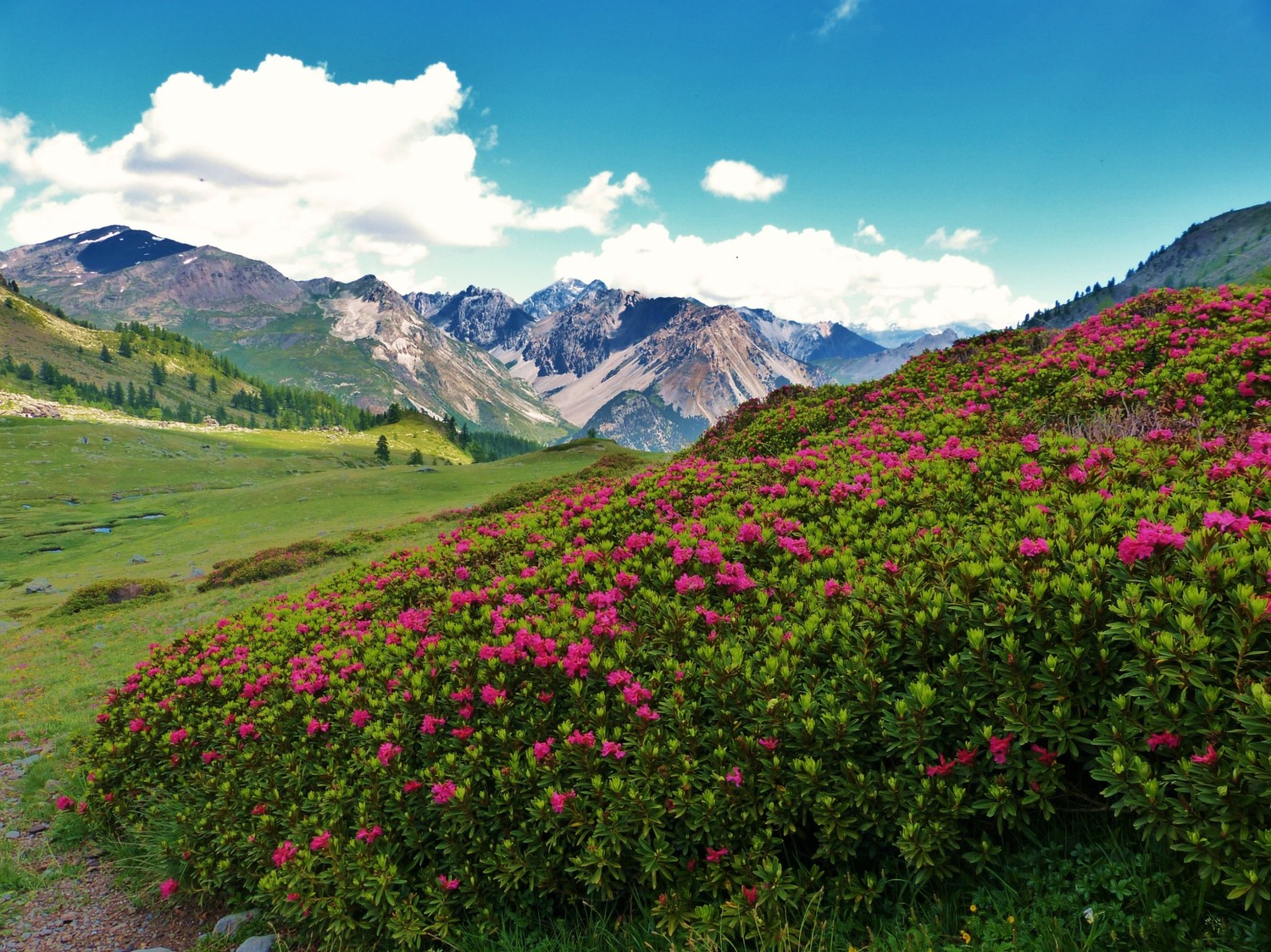 Descnete vers Nevache - Hautes Alpes
