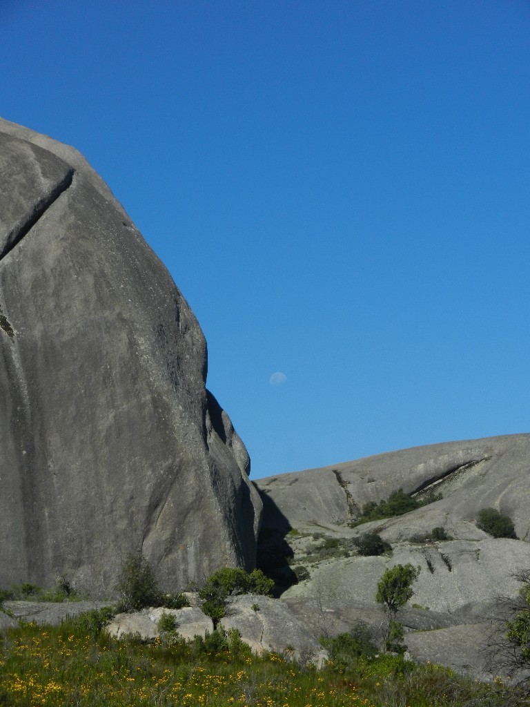Britannia rock