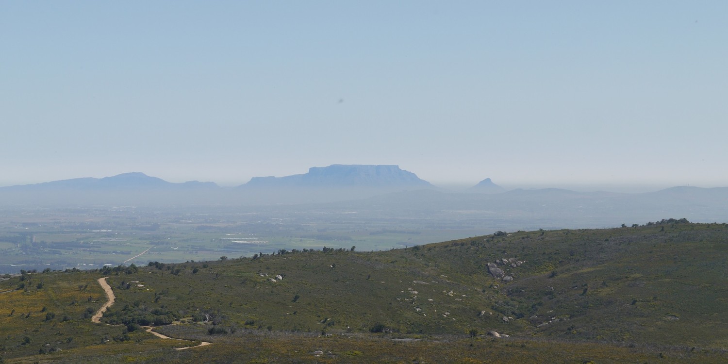 Vue en direction de Cape town: Table mountain et Lion's head