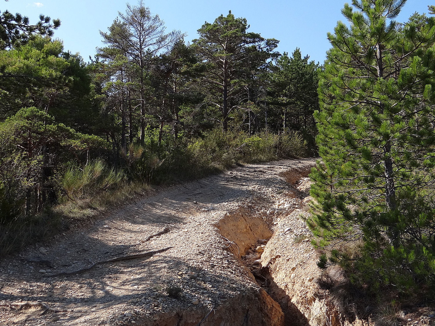 La piste de montée transformée en torrent lors des orages