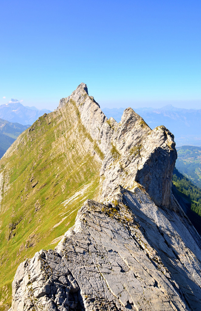 Arête de l'Argentine