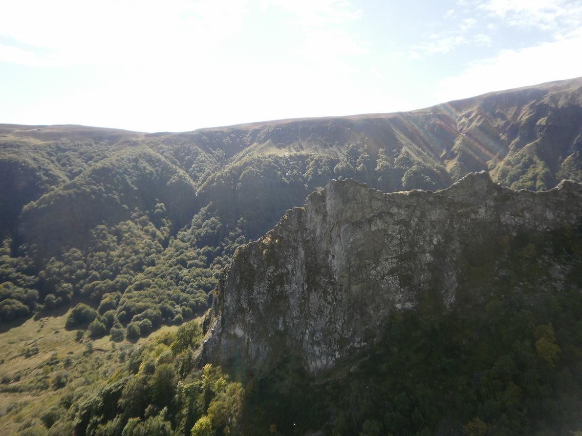 au sud la crête de coq 2
