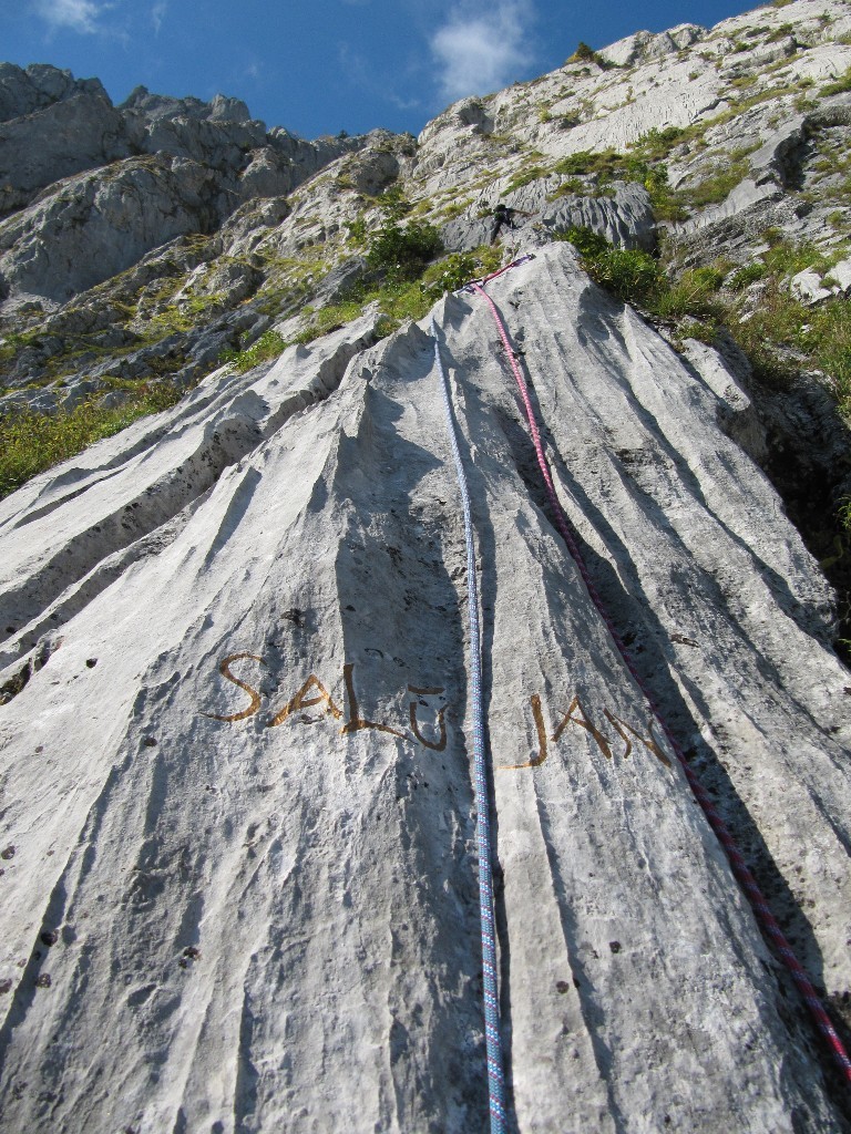 le pied de la voie