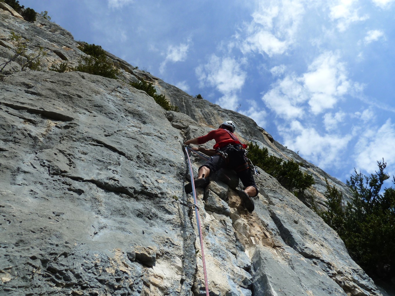 L4 : courte longueur de transition.