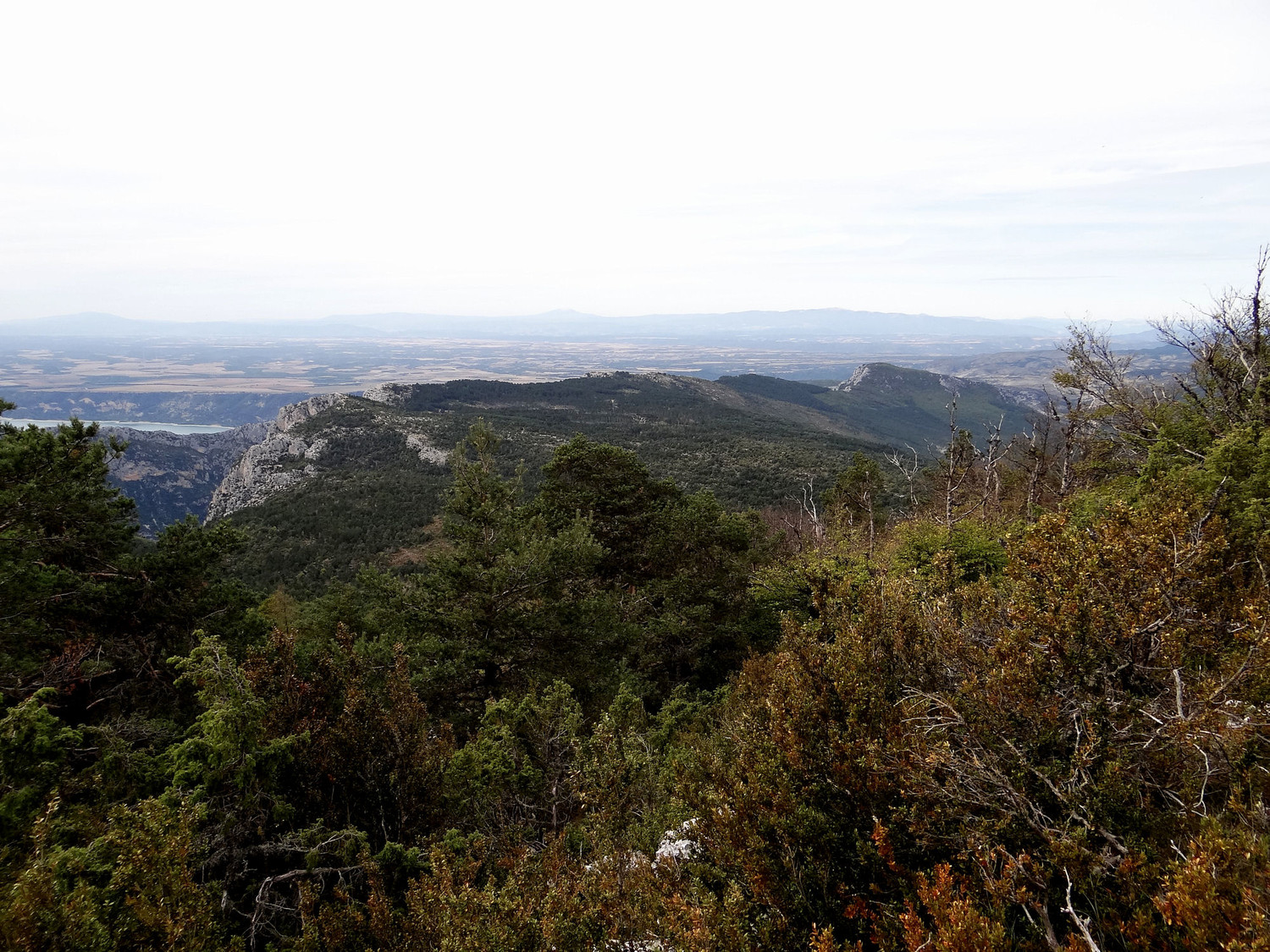 Vue du sommet direction la falaise de Plein Voir