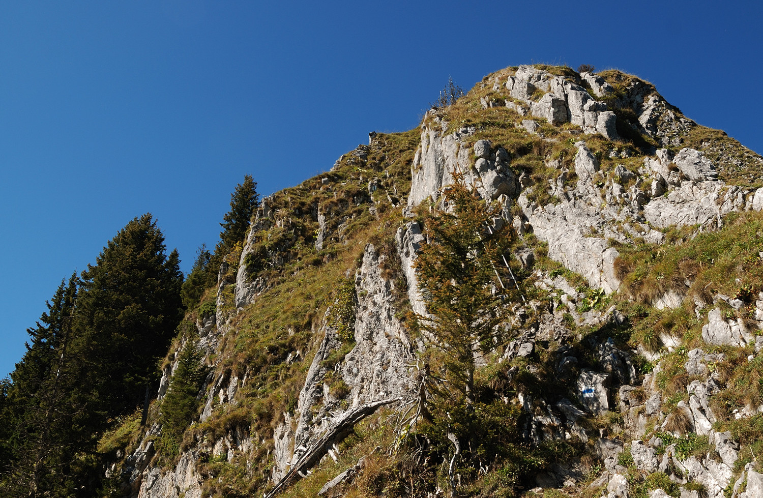 Le bastion sommital de la Spitzflue avec son échelle