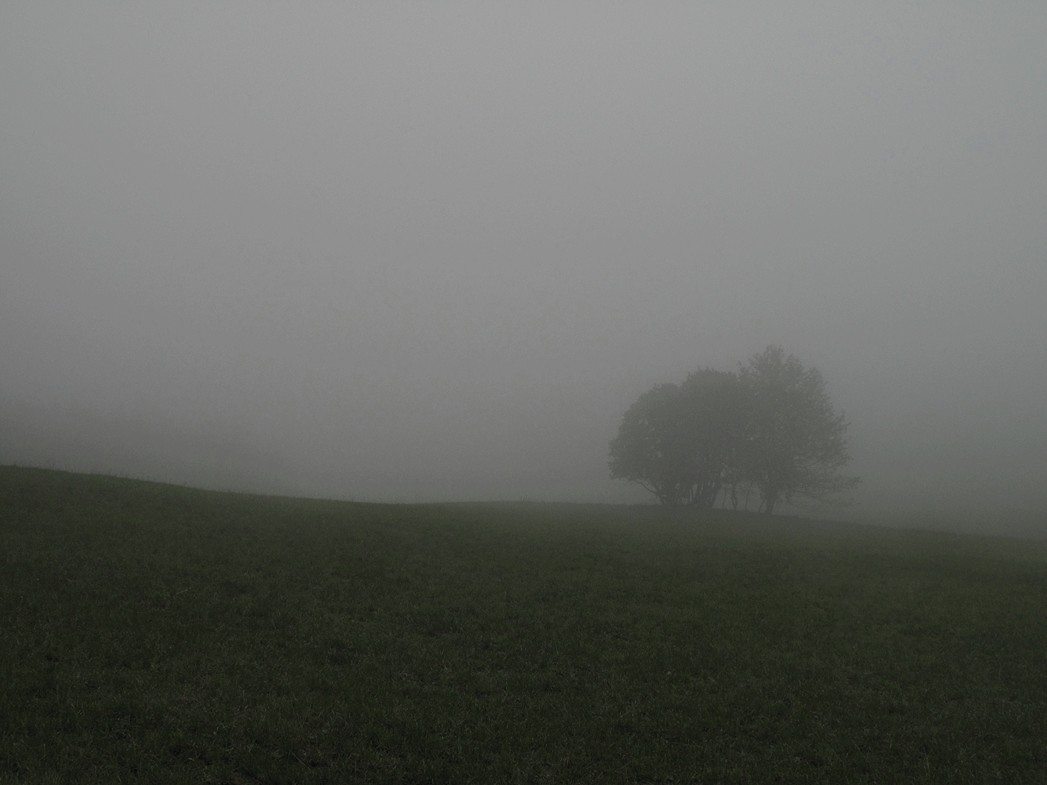 A la Conversaria, dans le brouillard
