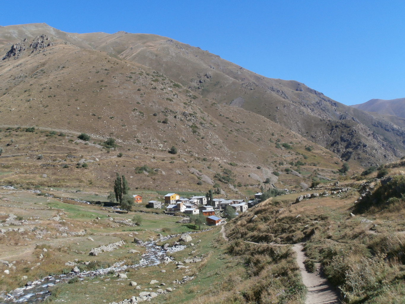Olgunlar