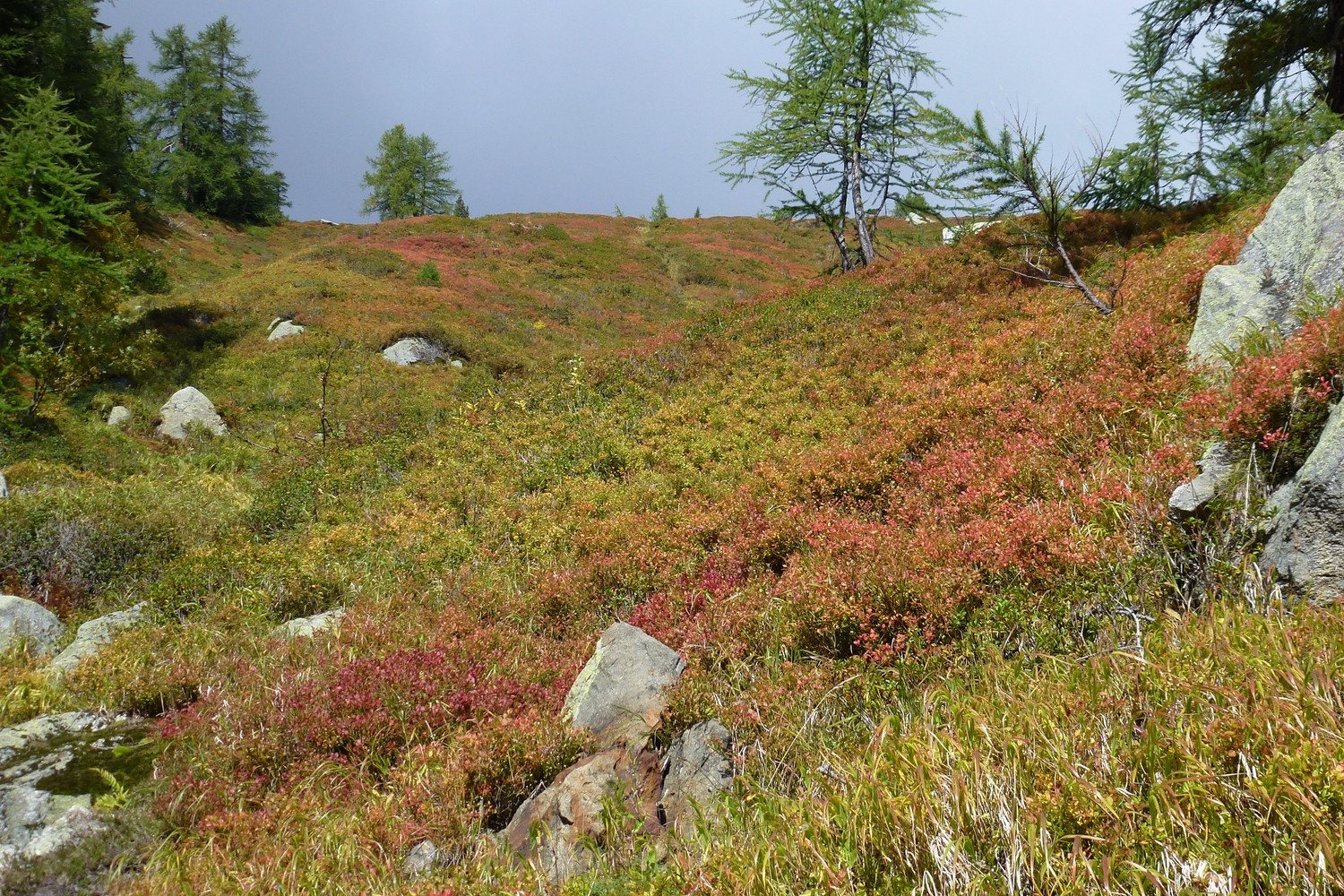 L'autunno avanza