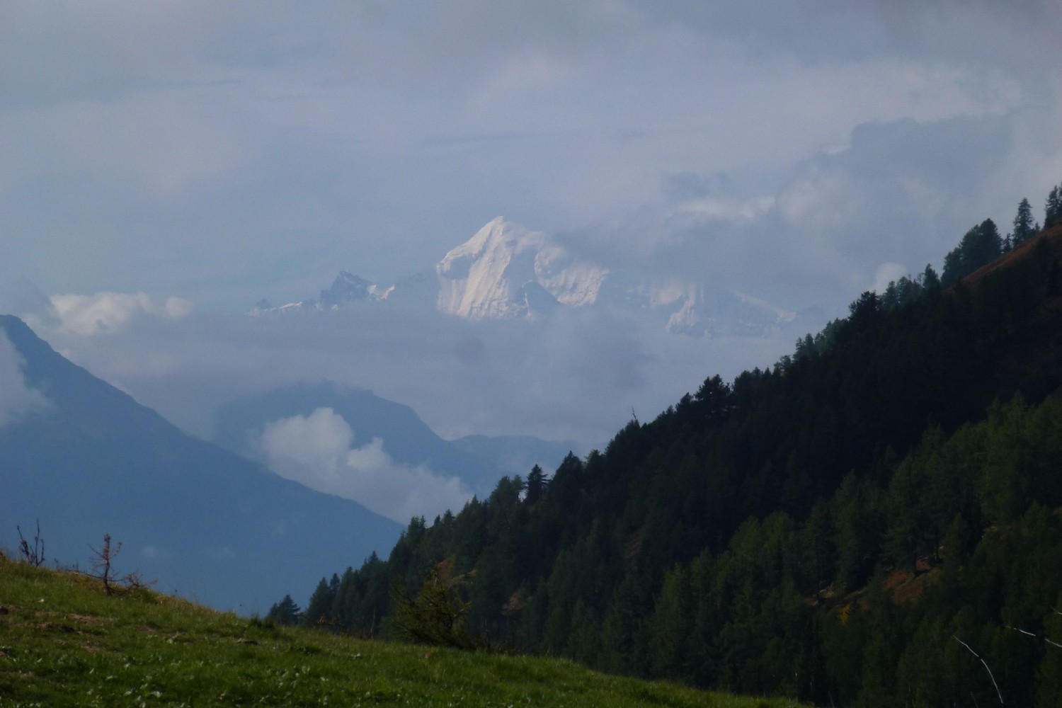 Zoom sul Weisshorn finalmente degno del nome
