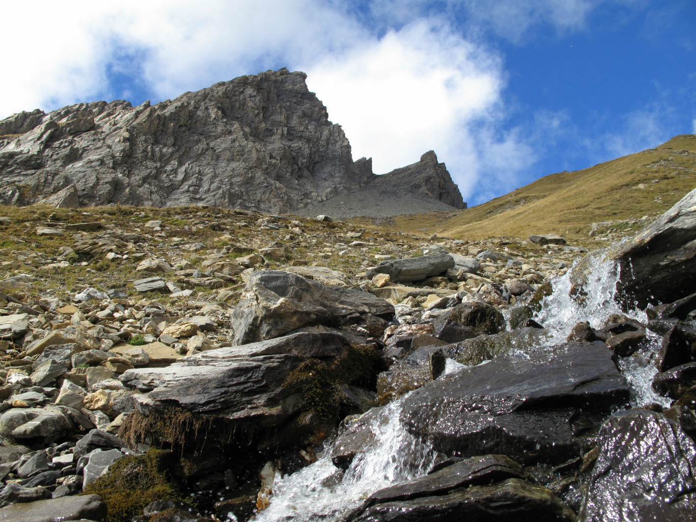 Sous le versant est du Roignais, vers 2400 mètres