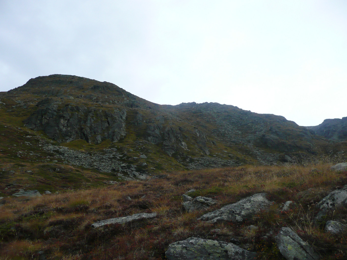 Point 2209