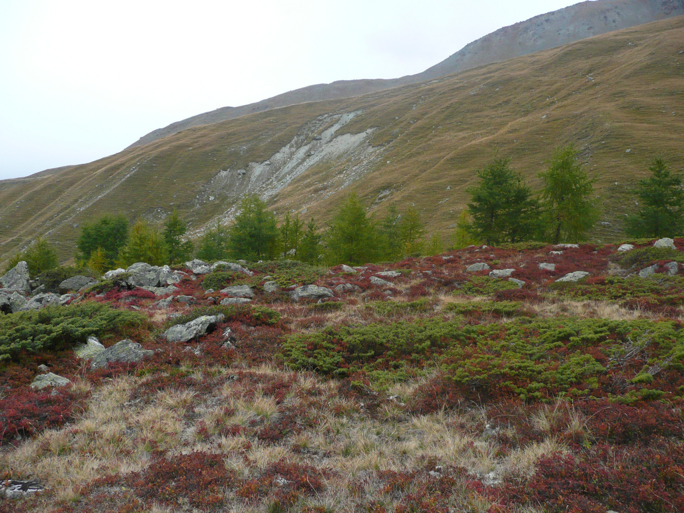 Tsalet de Maresse
