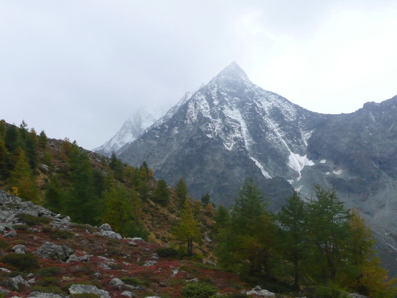 Veisivi
