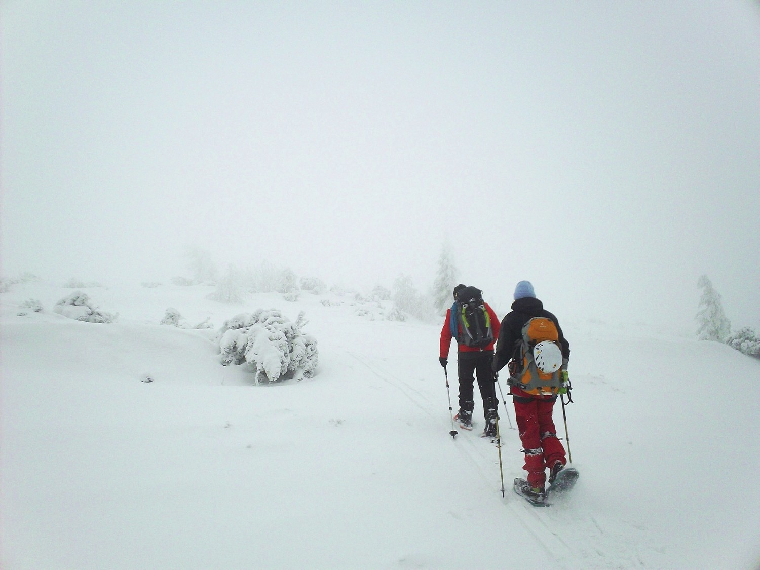 En chemin pour les cascades du Lac Blanc (68)