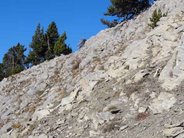 chemin balisé
