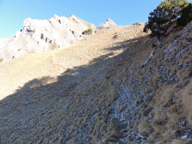 À flanc de coteau