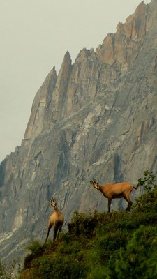 montée a la jonction (chamonix ) montée a la jonction (chamonix )