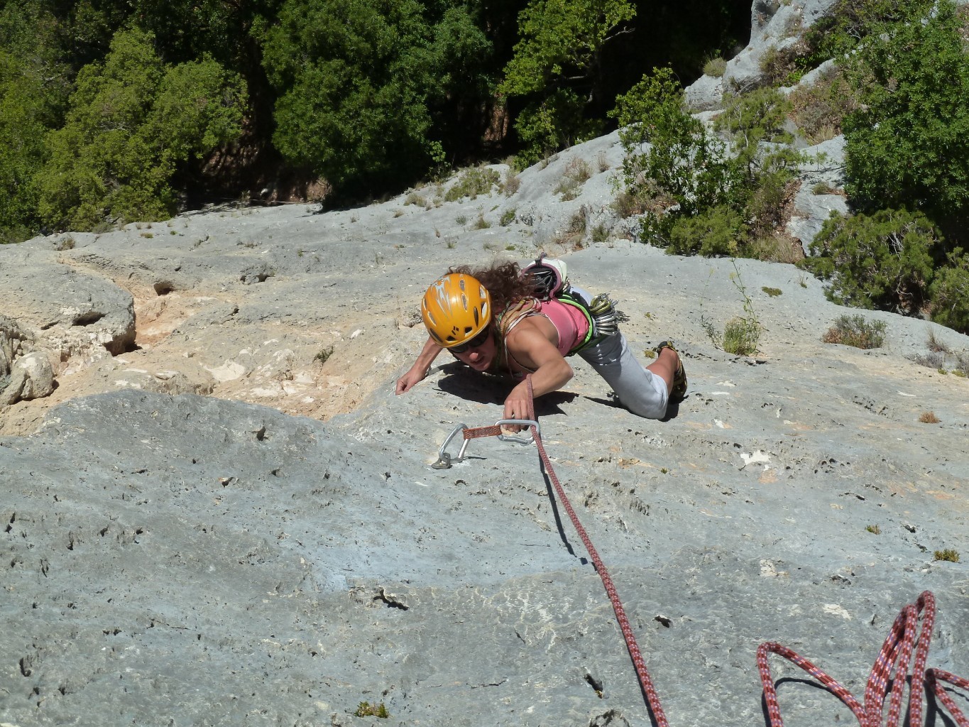 Fin de L3 en gris technique.