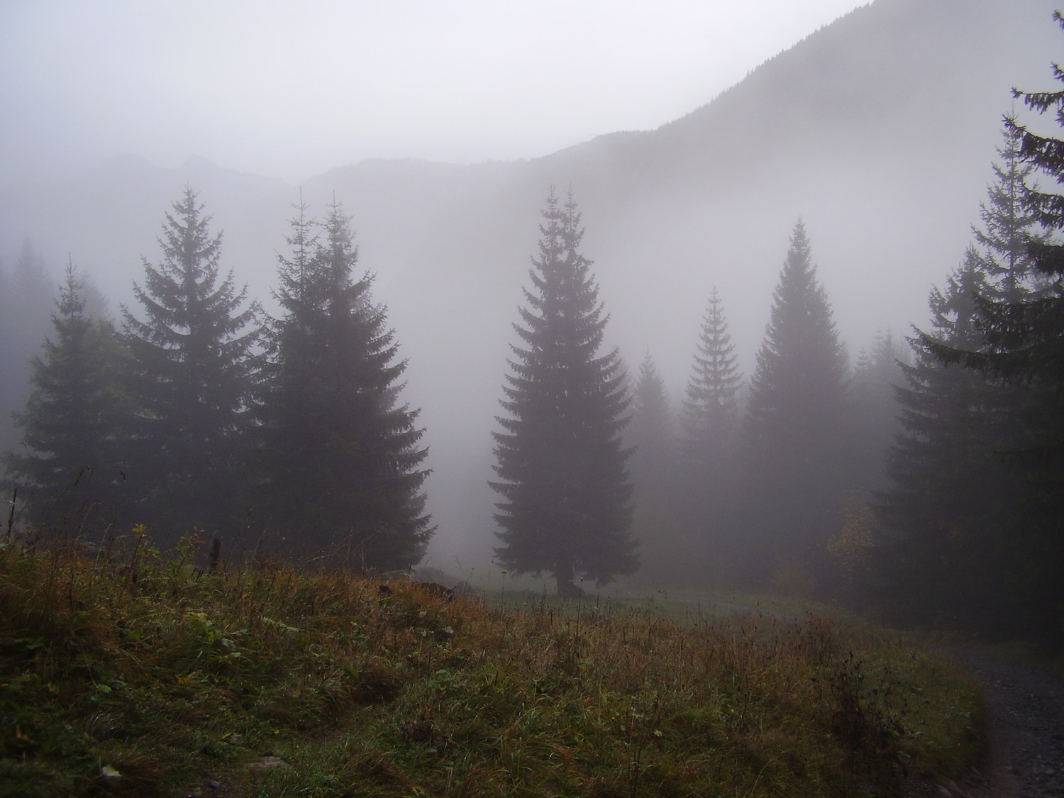 Brumes montantes