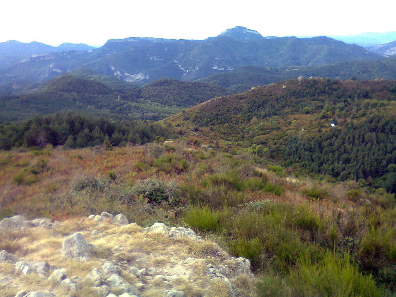 Les Albères